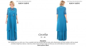 Long Dresses 2022 Pics Cecelia